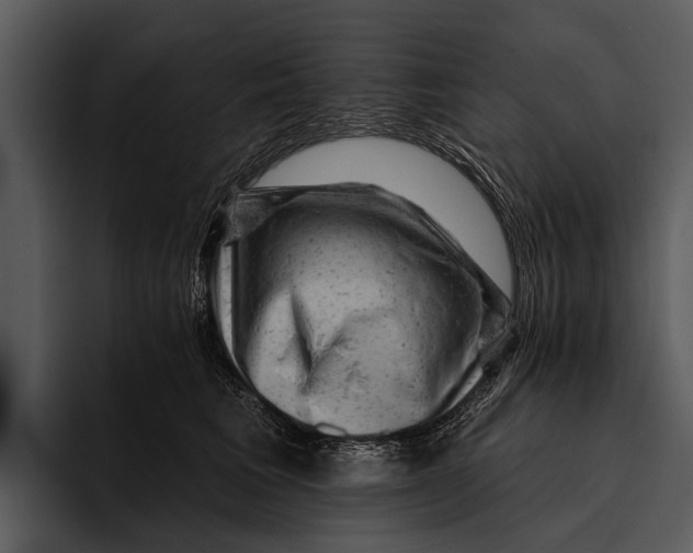 X0000095670613200801291138