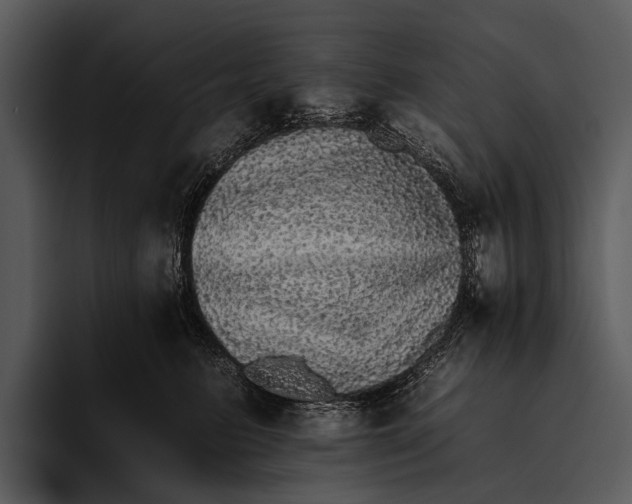 X0000095670615200801291138