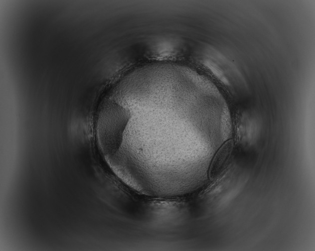 X0000095670620200801291138