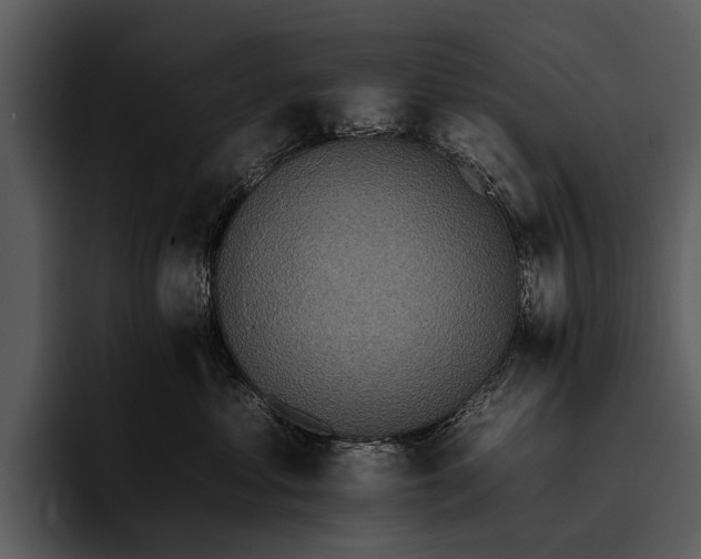 X0000095670621200801291138