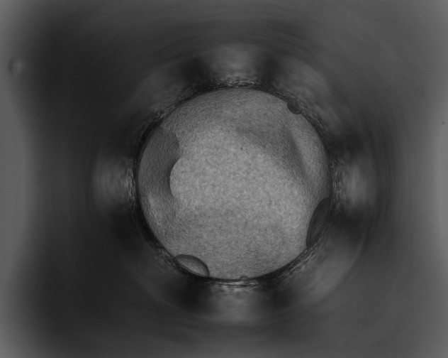 X0000095670622200801291138