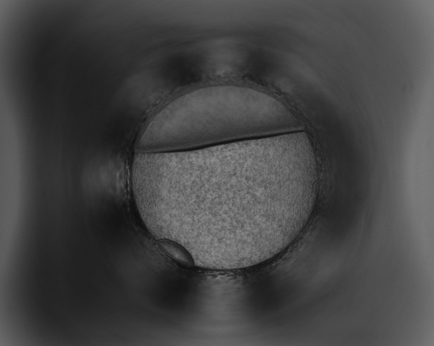 X0000095670624200801291138