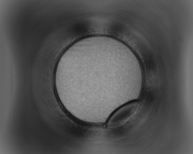 X0000095670625200801291137