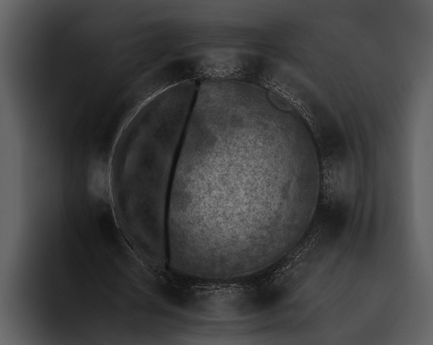 X0000095670626200801291137