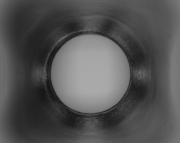 X0000095670628200801291137