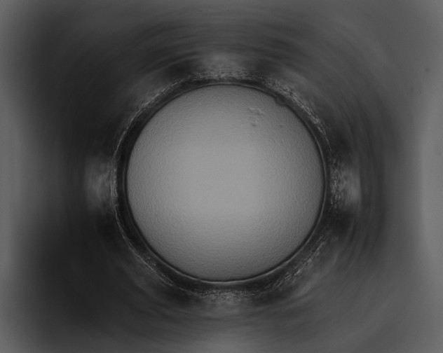 X0000095670629200801291137