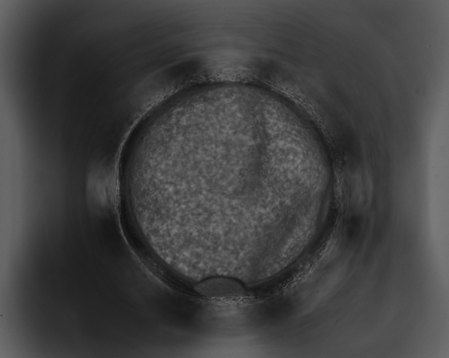 X0000095670630200801291137