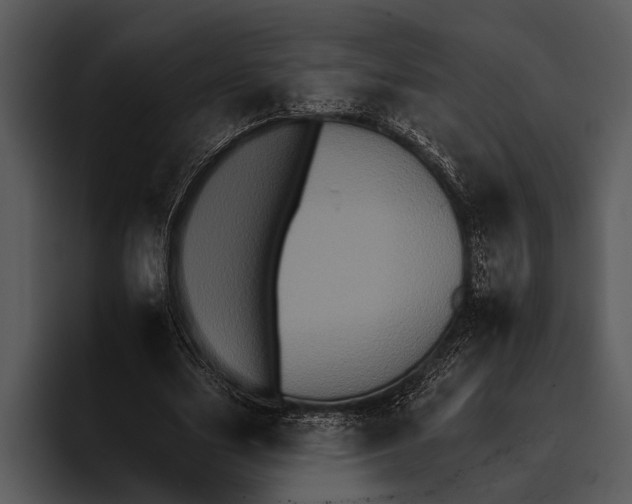 X0000095670631200801291137