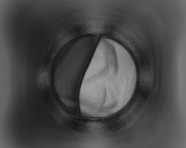 X0000095670633200801291137