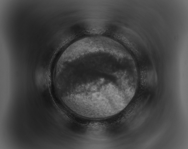 X0000095670634200801291137