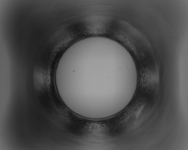 X0000095670635200801291137