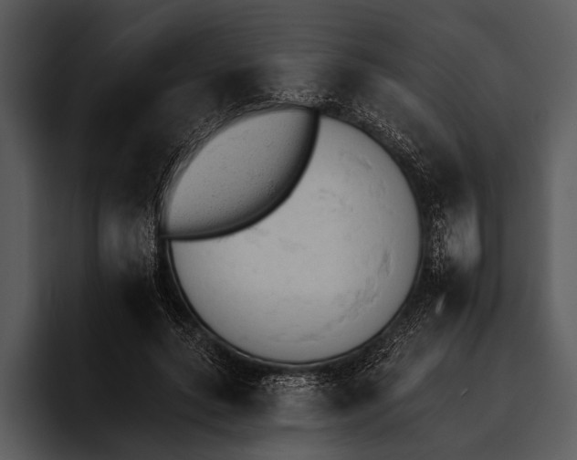 X0000095670639200801291138