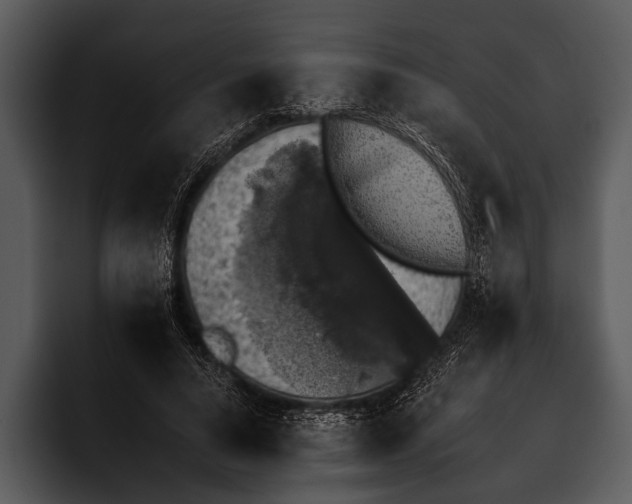 X0000095670640200801291138