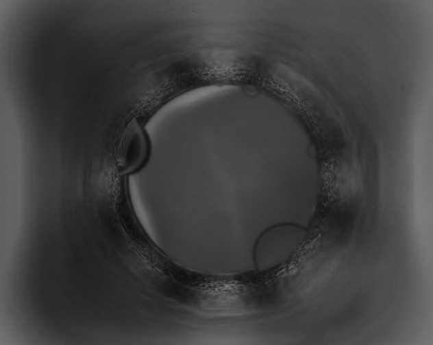 X0000095670642200801291138