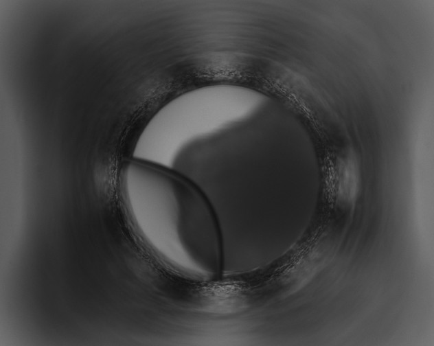 X0000095670643200801291138