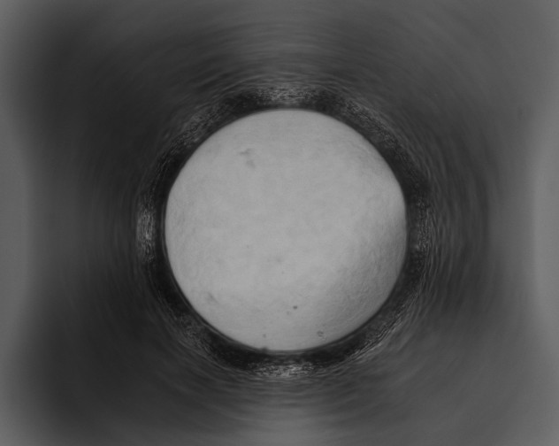 X0000095670646200801291138