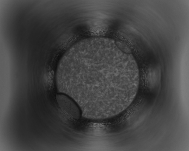 X0000095670649200801291138