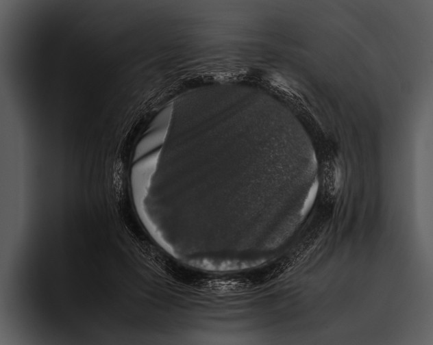 X0000095670650200801291138