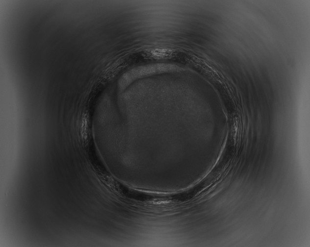 X0000095670651200801291138