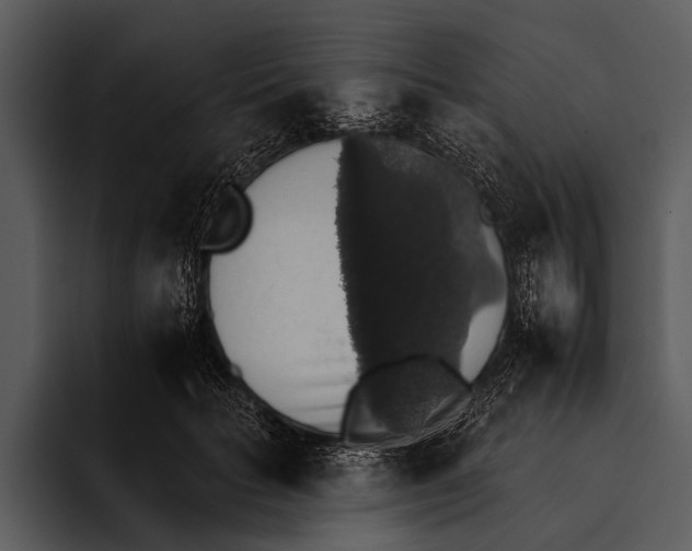 X0000095670653200801291138