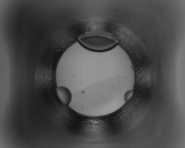 X0000095670654200801291138