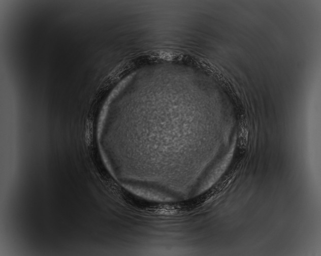 X0000095670656200801291138