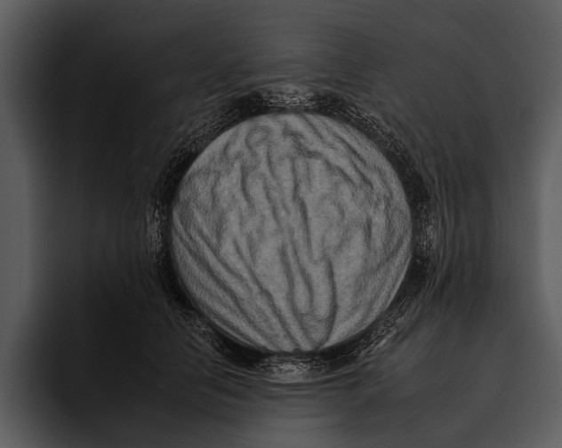 X0000095670658200801291138