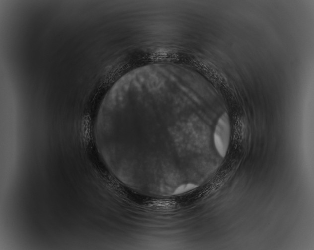 X0000095670659200801291138