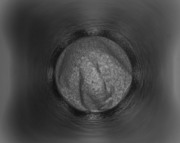 X0000095670660200801291138