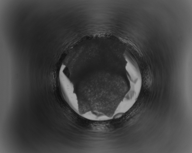 X0000095670661200801291138