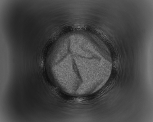 X0000095670662200801291138