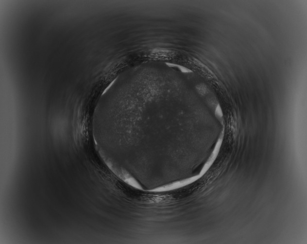 X0000095670663200801291138