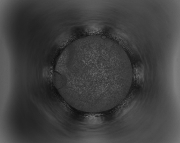 X0000095670664200801291138