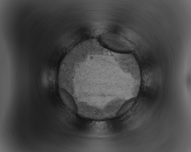 X0000095670665200801291138