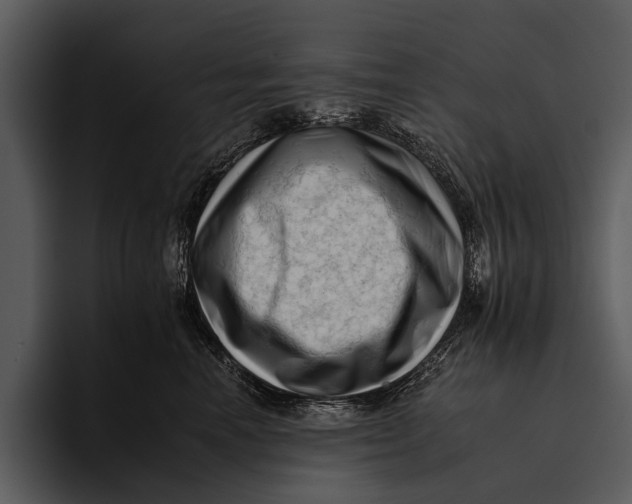 X0000095670666200801291138