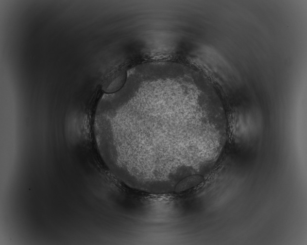 X0000095670667200801291138