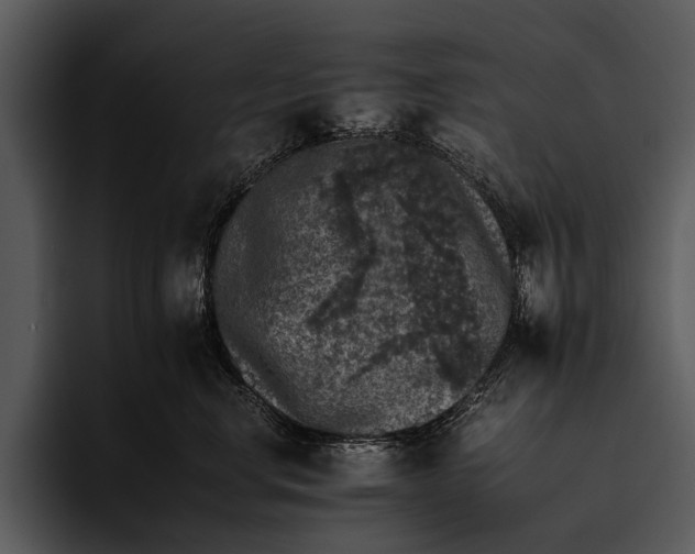 X0000095670668200801291138