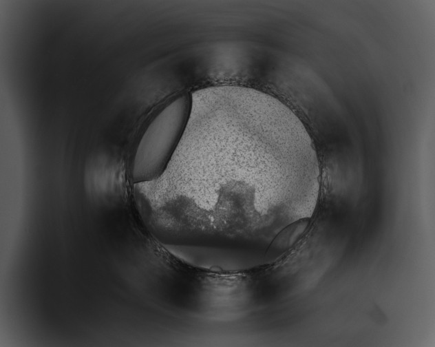 X0000095670671200801291138