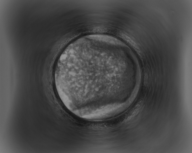 X0000095670673200801291137