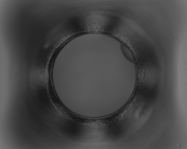 X0000095670674200801291137