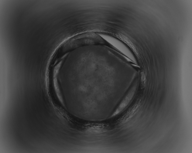 X0000095670676200801291137