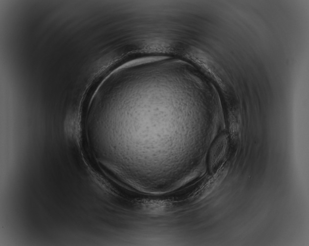 X0000095670677200801291137