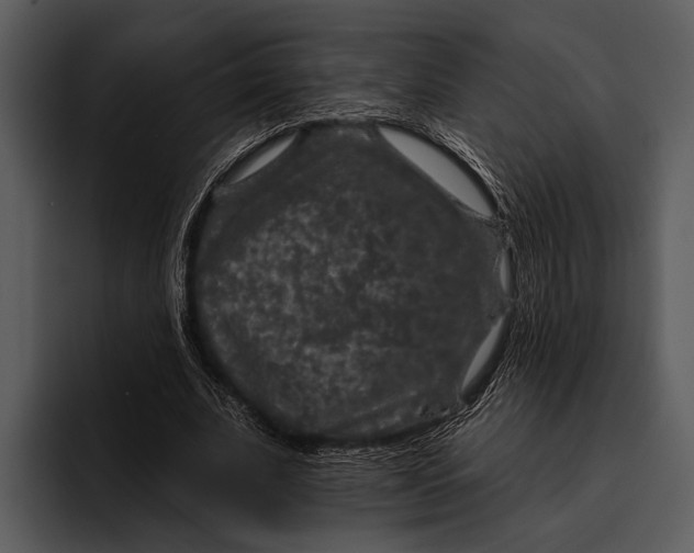 X0000095670679200801291137