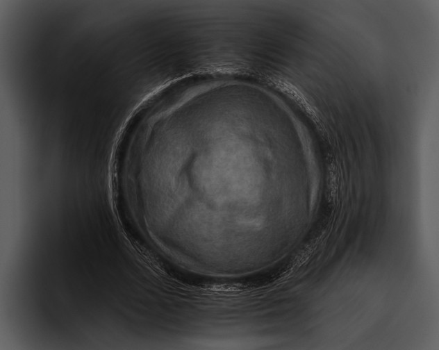 X0000095670680200801291137