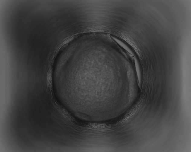 X0000095670681200801291137