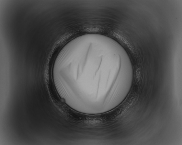 X0000095670682200801291137