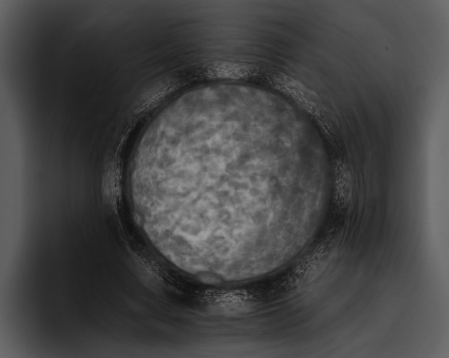 X0000095670683200801291137