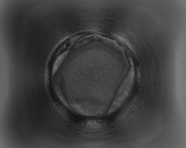 X0000095670684200801291137