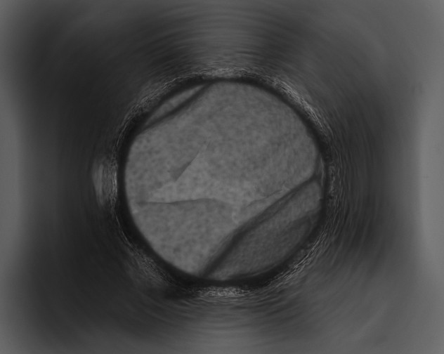 X0000095670685200801291137