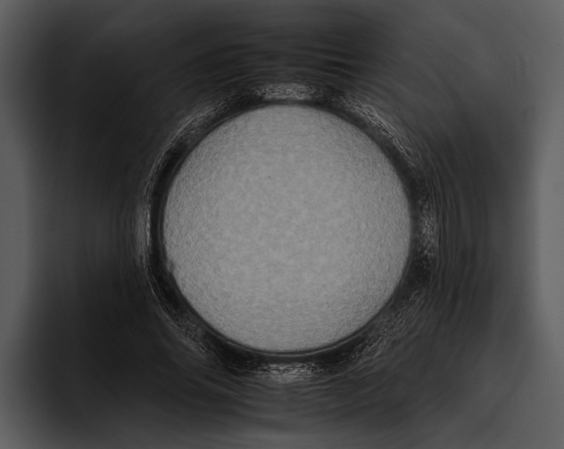 X0000095670686200801291137